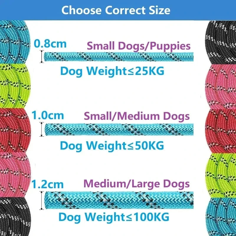 Reinforced Nylon Dog Leash