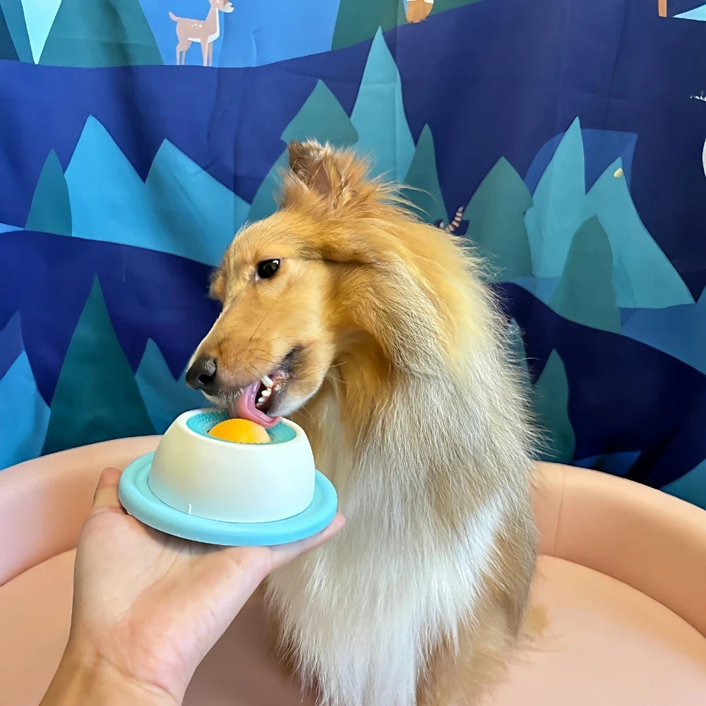 Interactive Pet Lick Mat