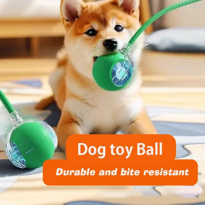 Interactive Rolling Dog Toy