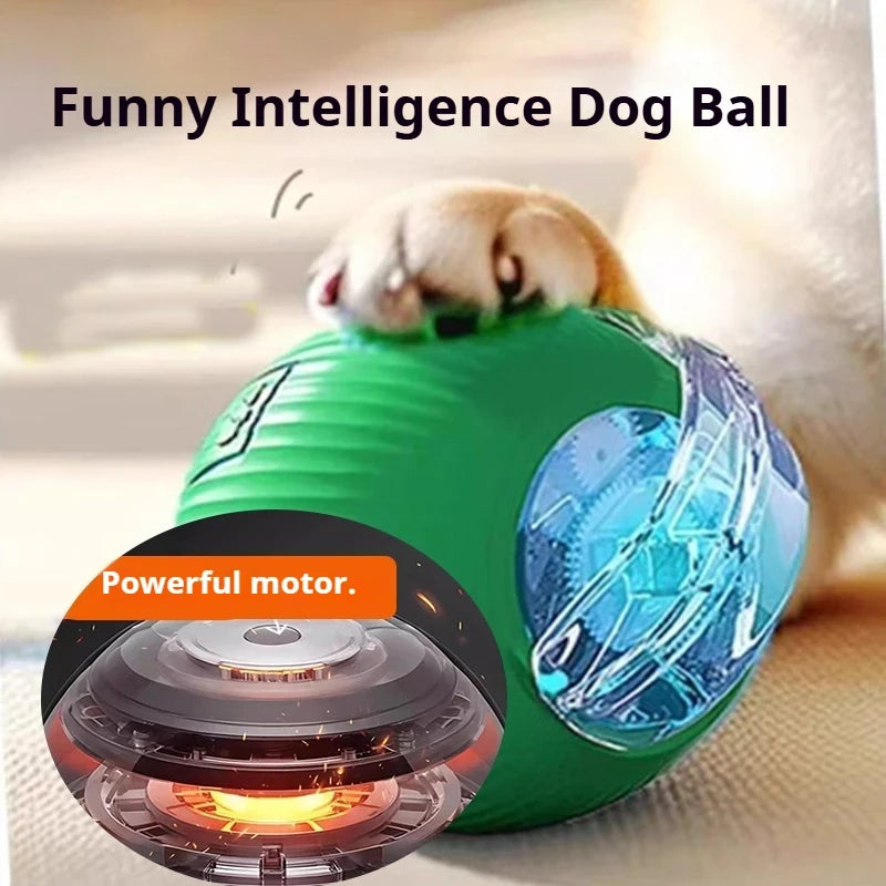 Interactive Rolling Dog Toy