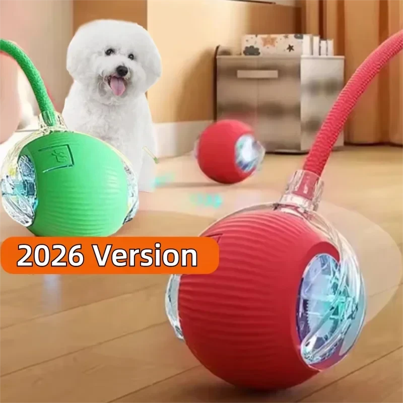 Interactive Rolling Dog Toy
