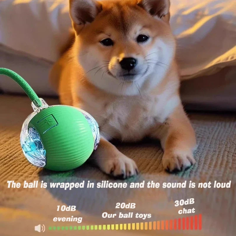 Interactive Rolling Dog Toy