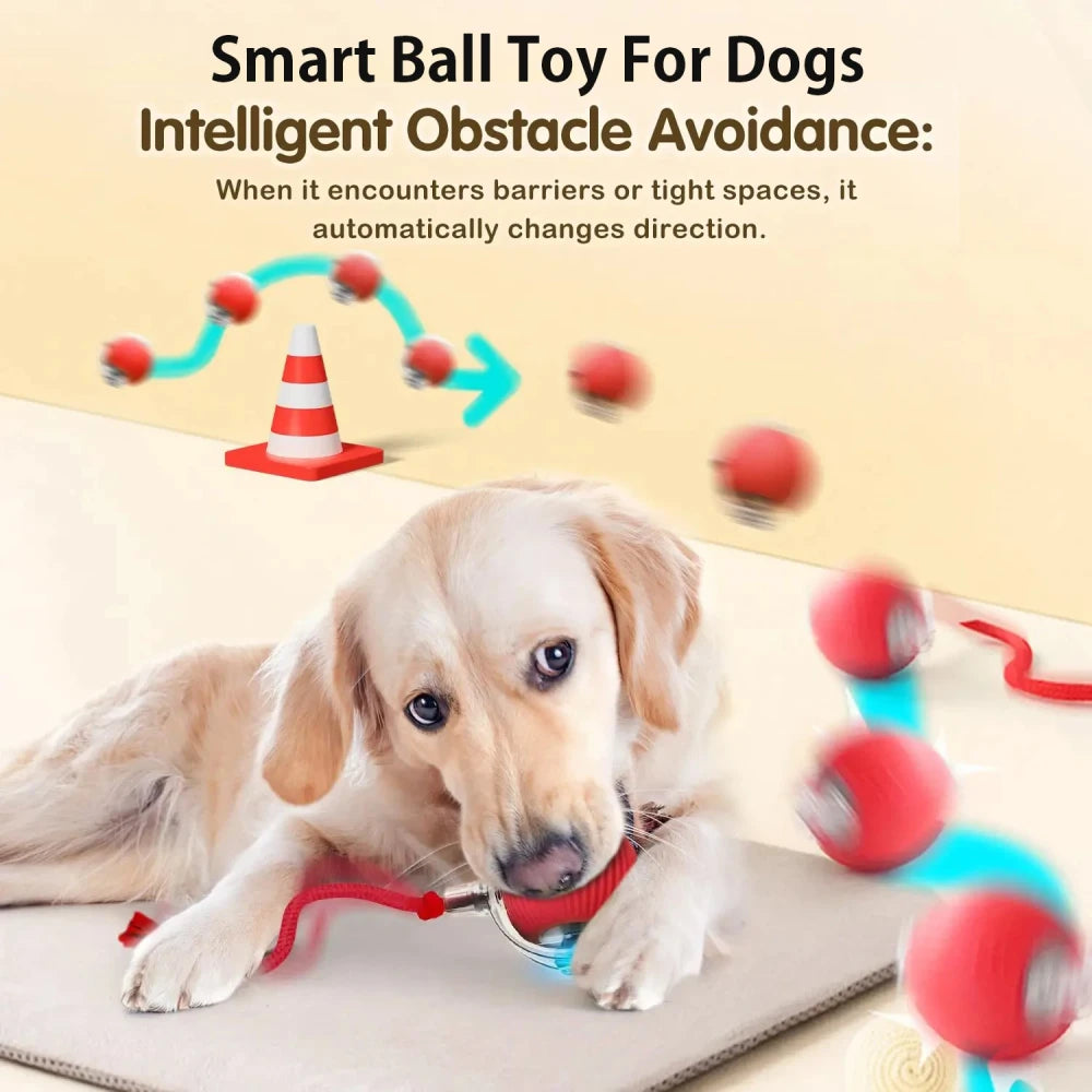 Interactive Rolling Dog Toy