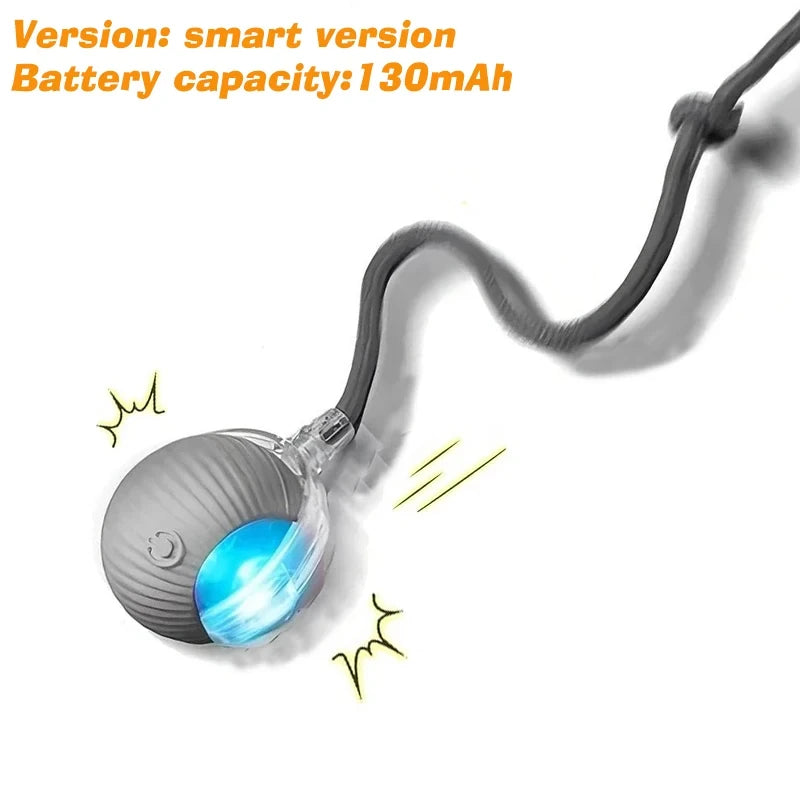 Interactive Rolling Dog Toy
