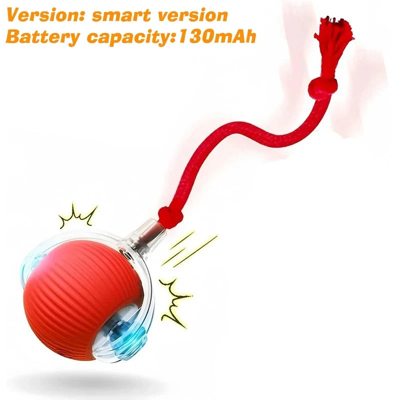 Interactive Rolling Dog Toy