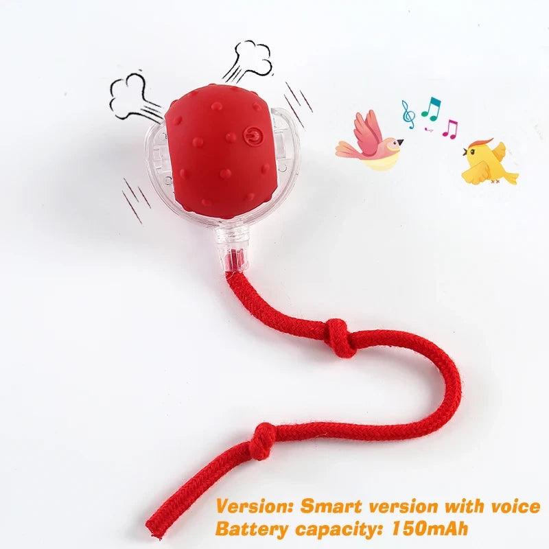 Interactive Rolling Dog Toy