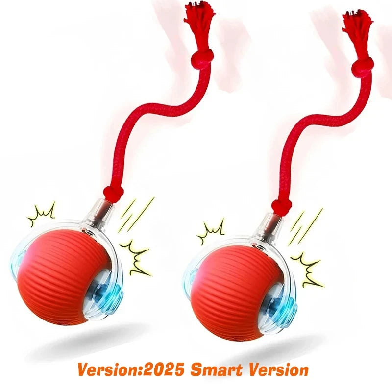 Interactive Rolling Dog Toy