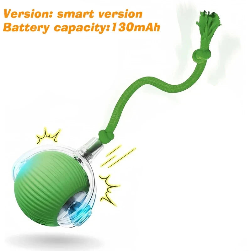 Interactive Rolling Dog Toy