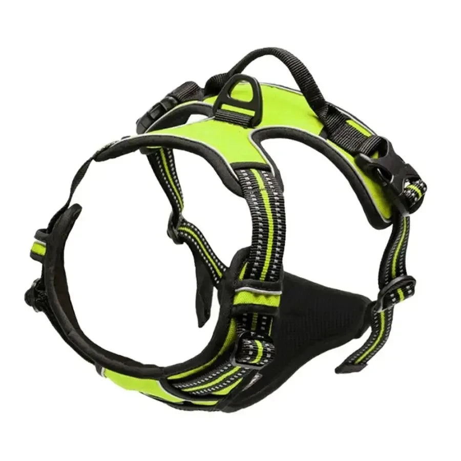 Leather Puppy Harness Leash Set