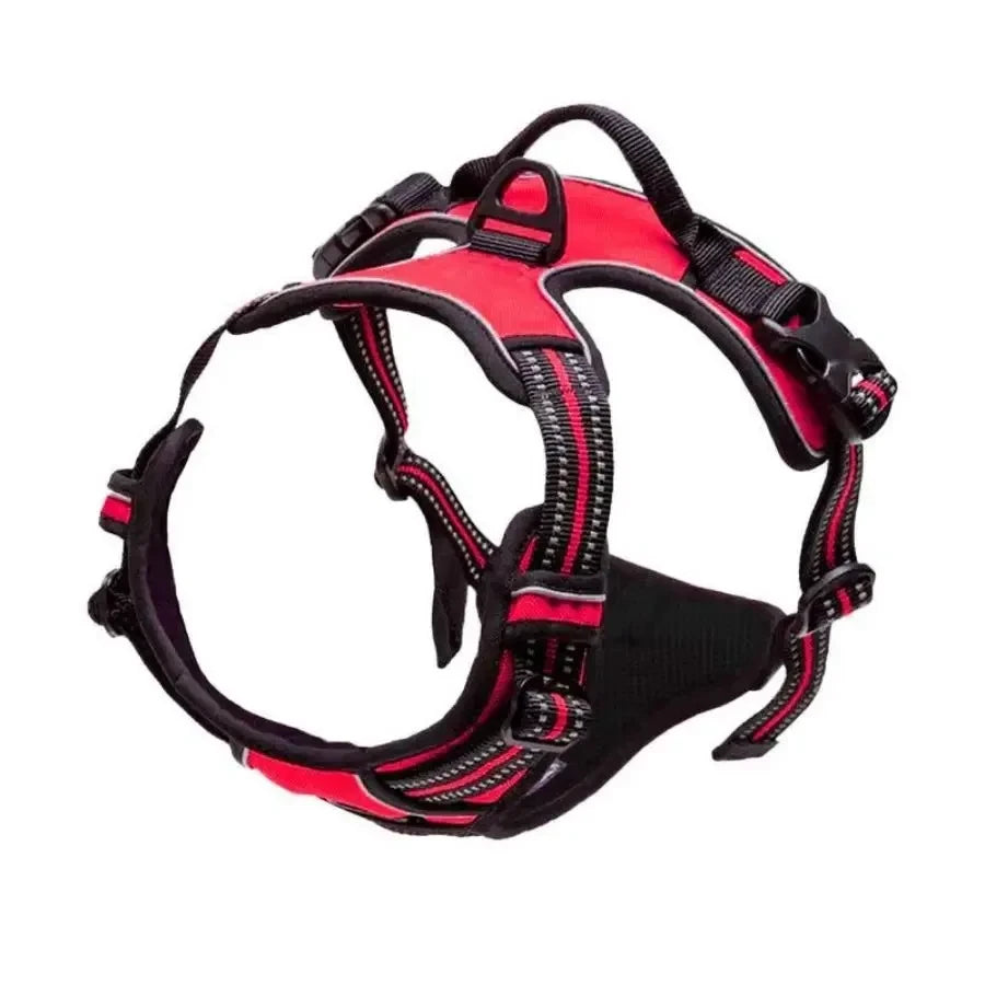 Leather Puppy Harness Leash Set