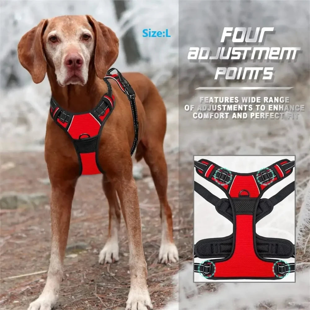 Leather Puppy Harness Leash Set