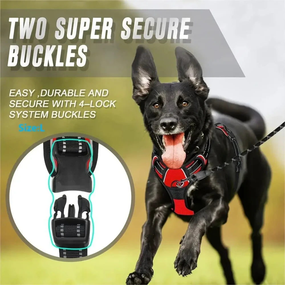 Leather Puppy Harness Leash Set