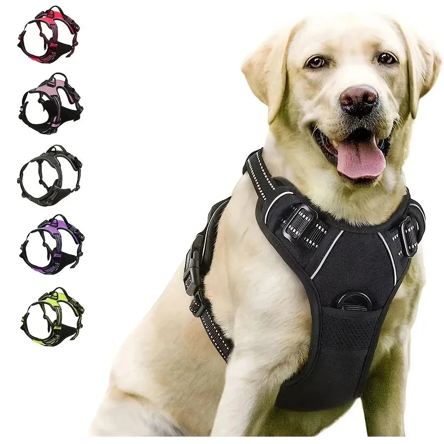 Leather Puppy Harness Leash Set