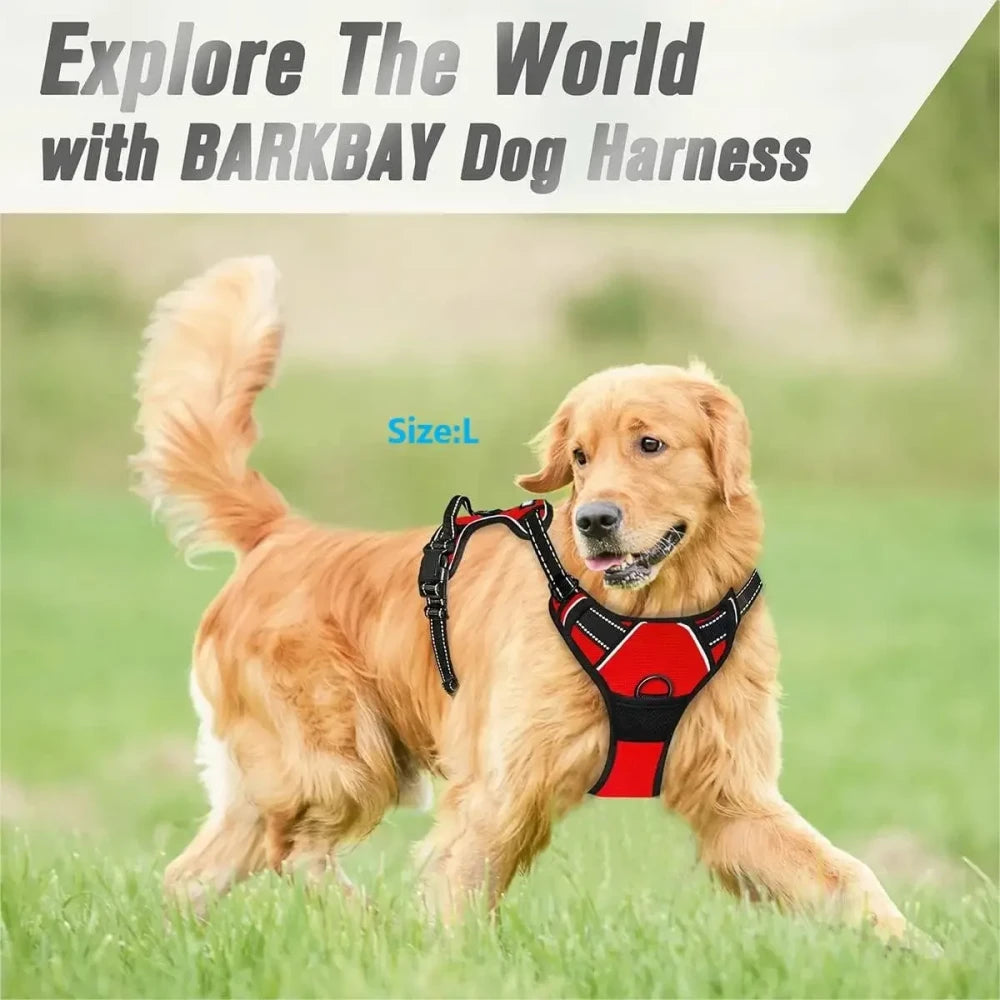 Leather Puppy Harness Leash Set