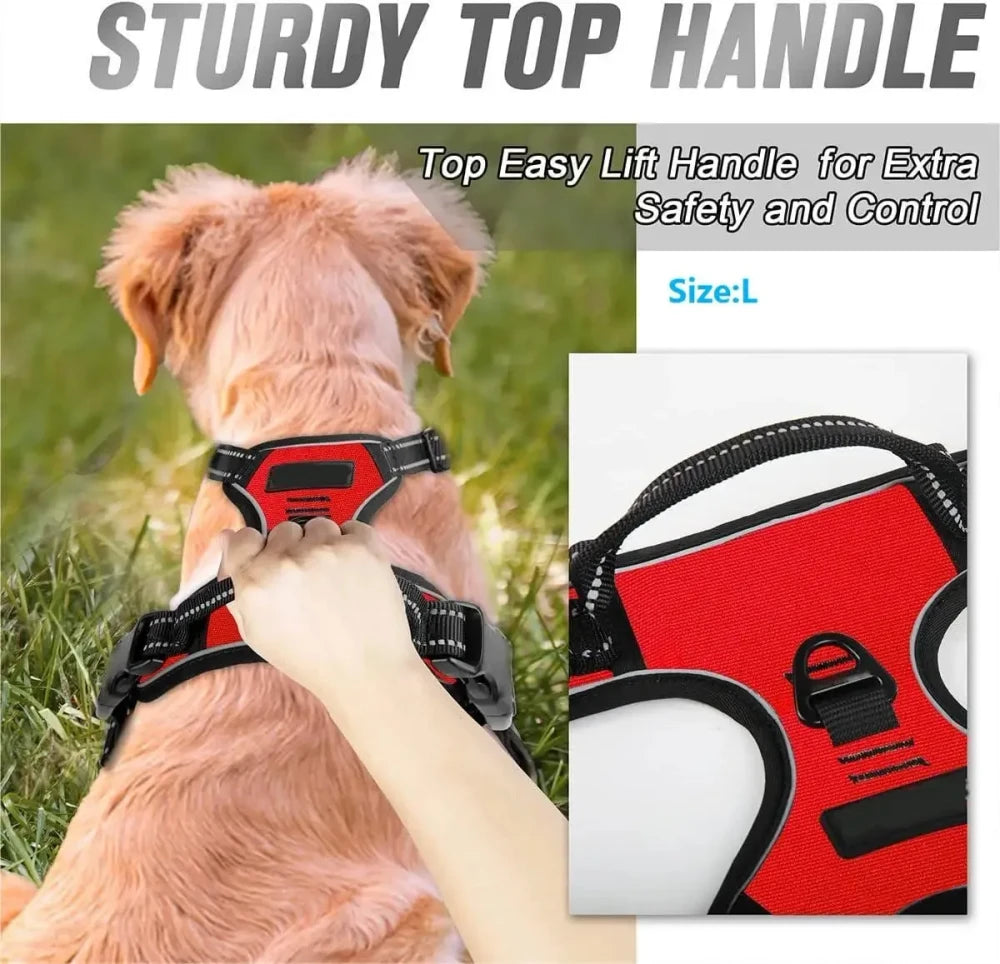 Leather Puppy Harness Leash Set