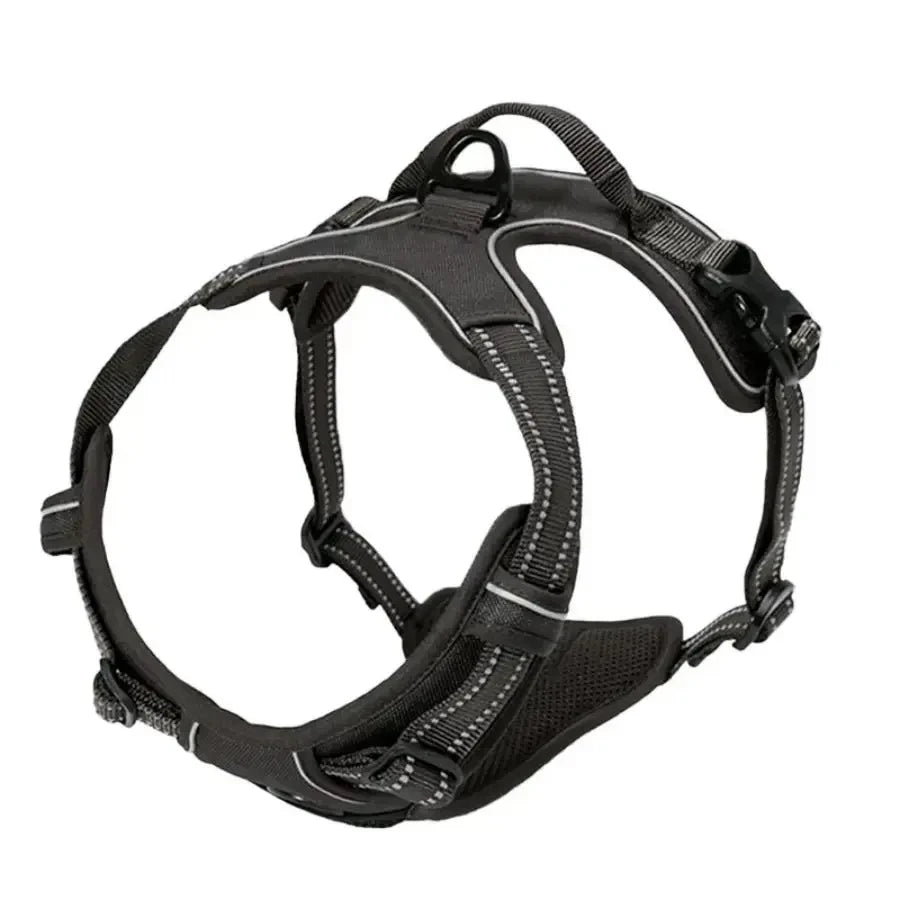 Leather Puppy Harness Leash Set