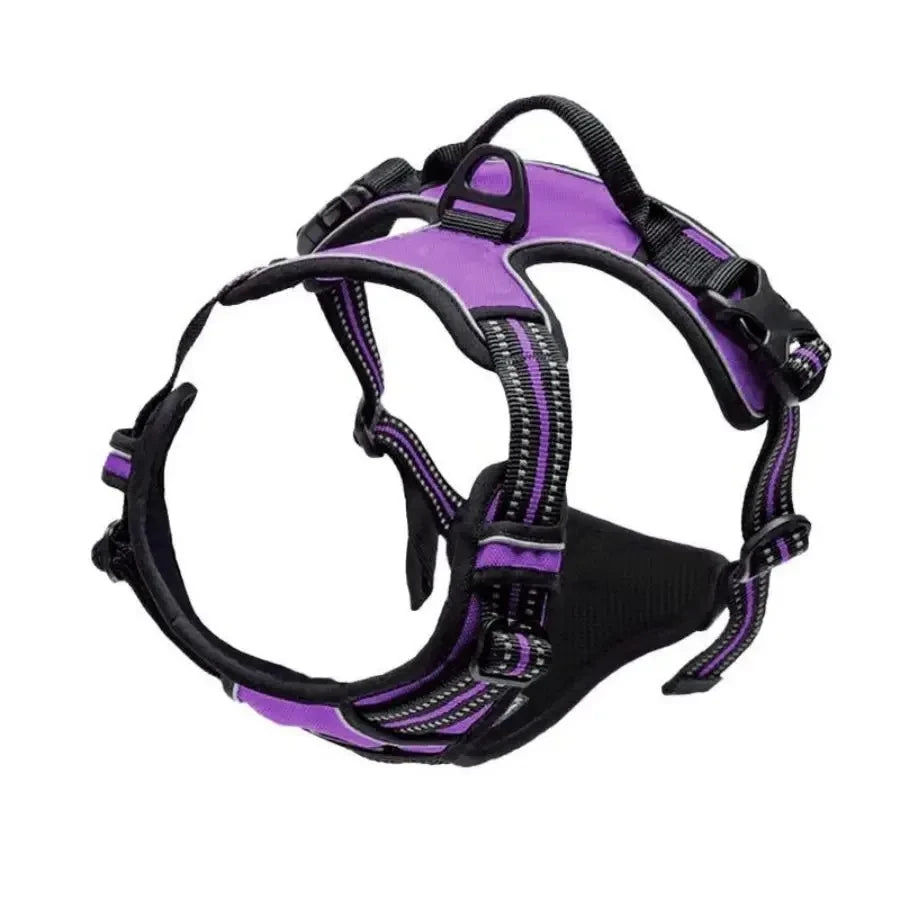 Leather Puppy Harness Leash Set