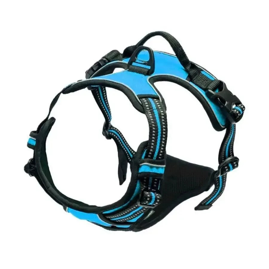 Leather Puppy Harness Leash Set
