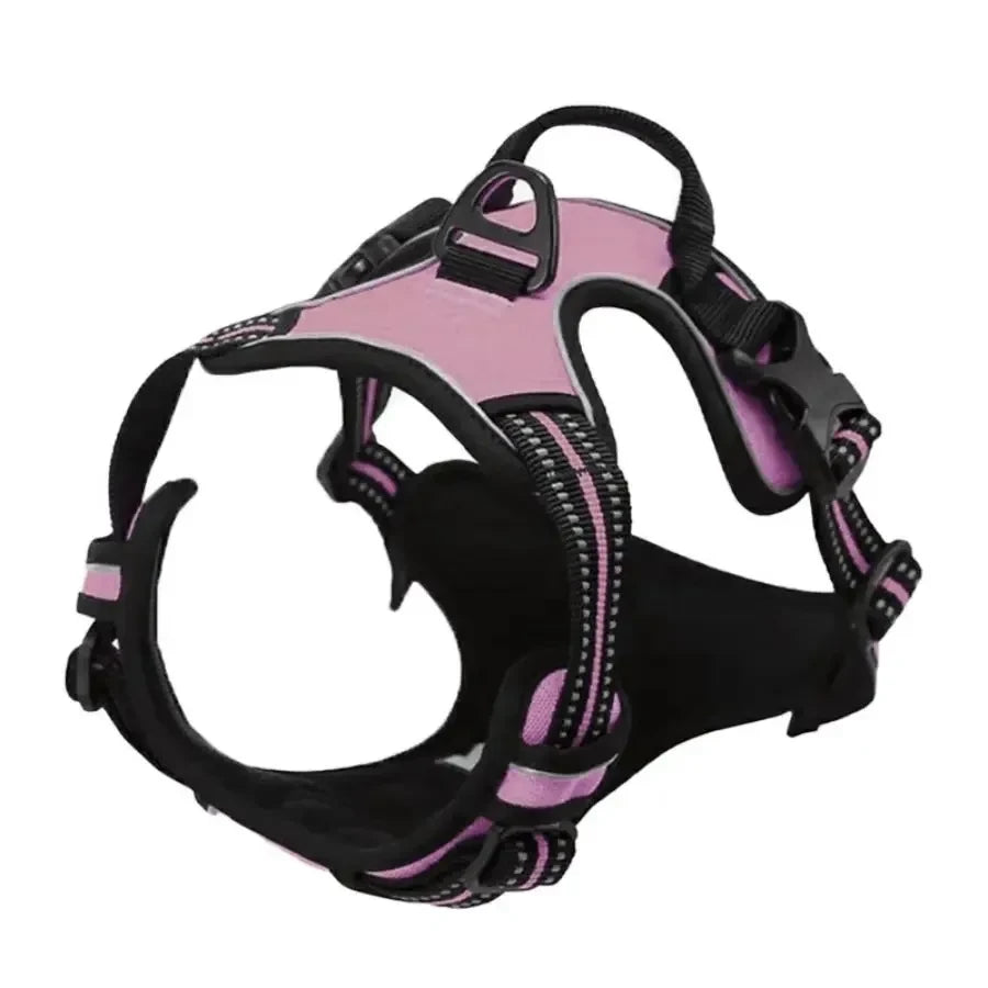 Leather Puppy Harness Leash Set