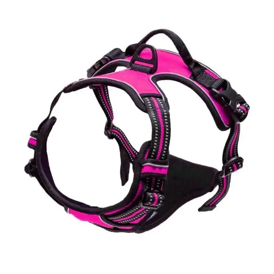 Leather Puppy Harness Leash Set