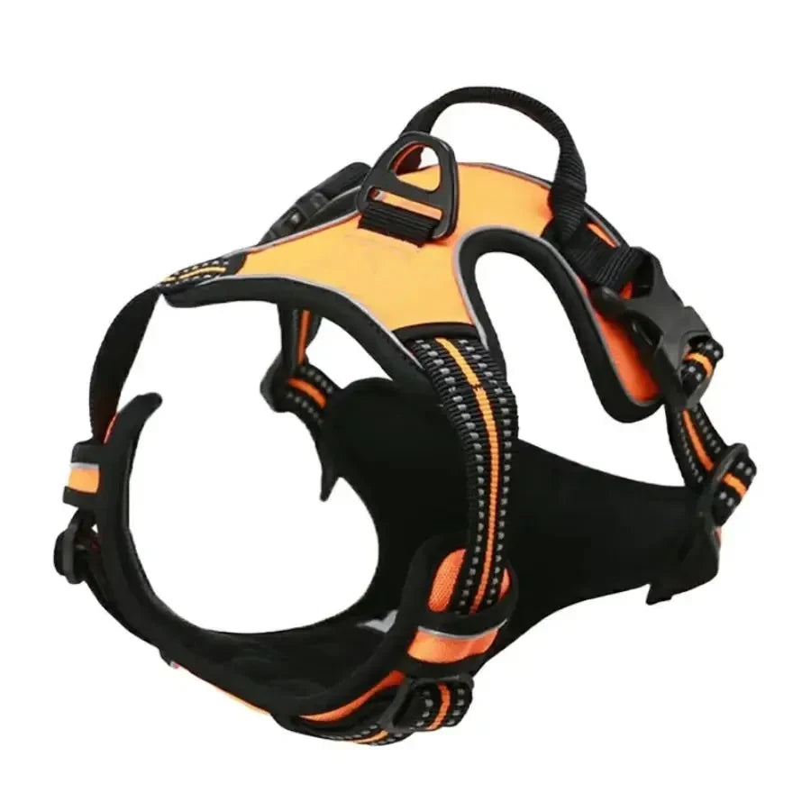 Leather Puppy Harness Leash Set