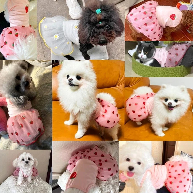 Strawberry Print Dog Suspender Dress
