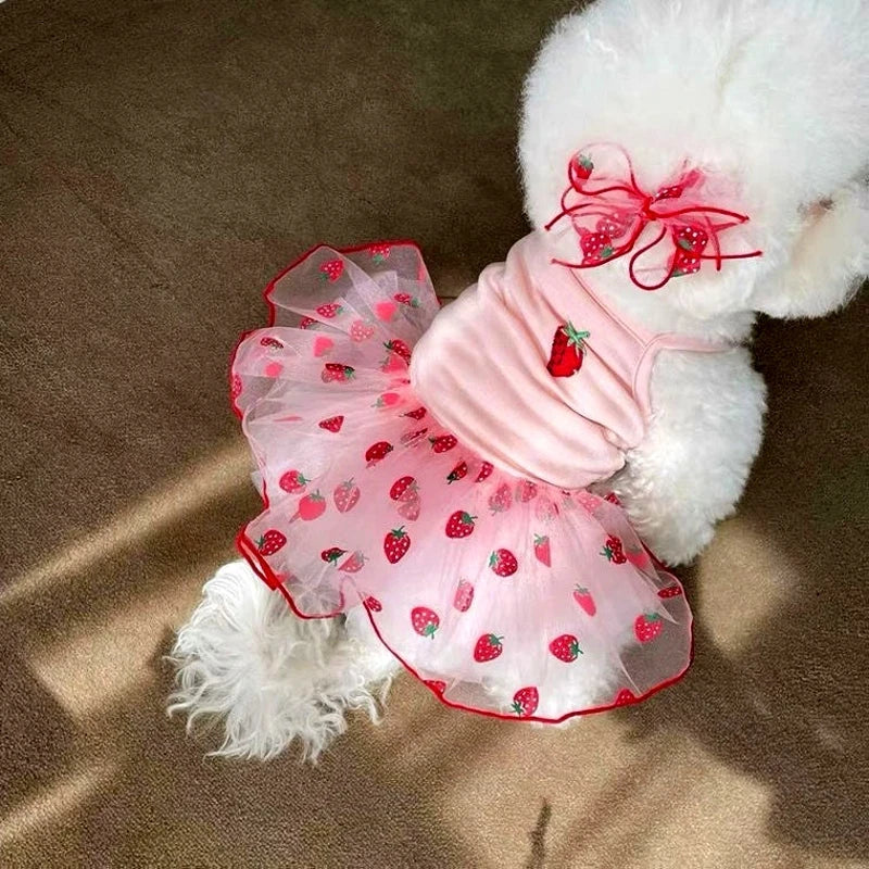 Strawberry Print Dog Suspender Dress