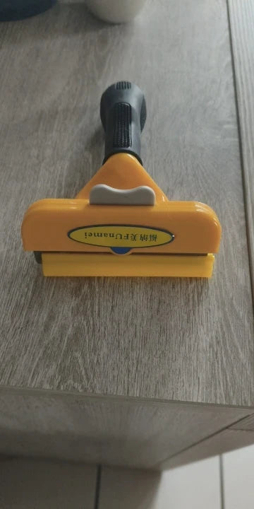 Review Card