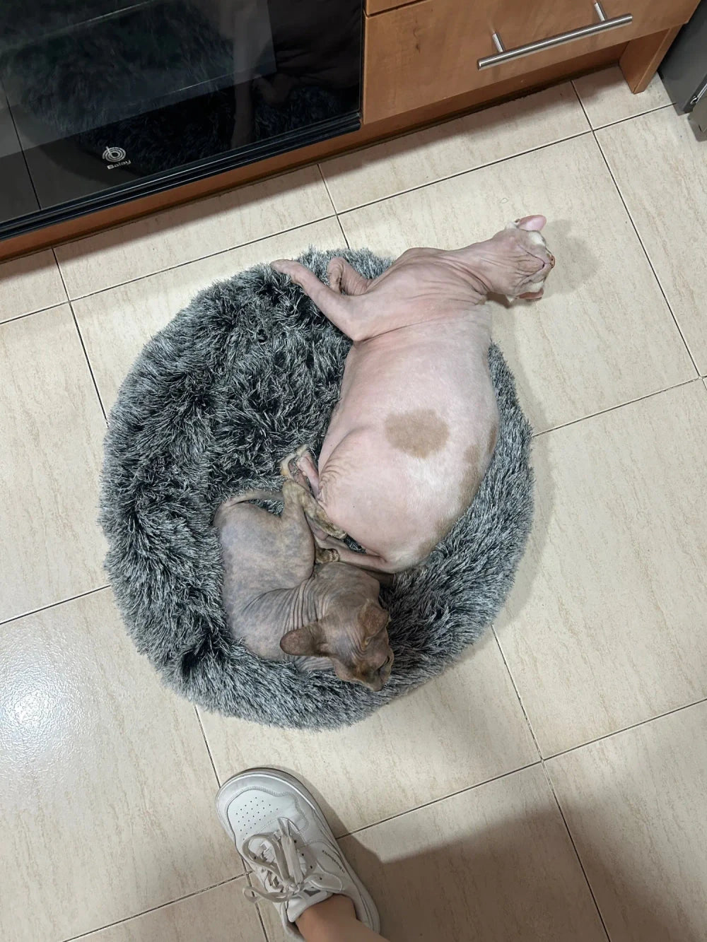Review Card