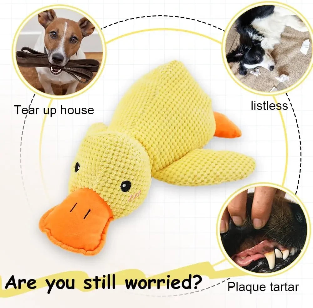 Quacking Plush Dog Toy