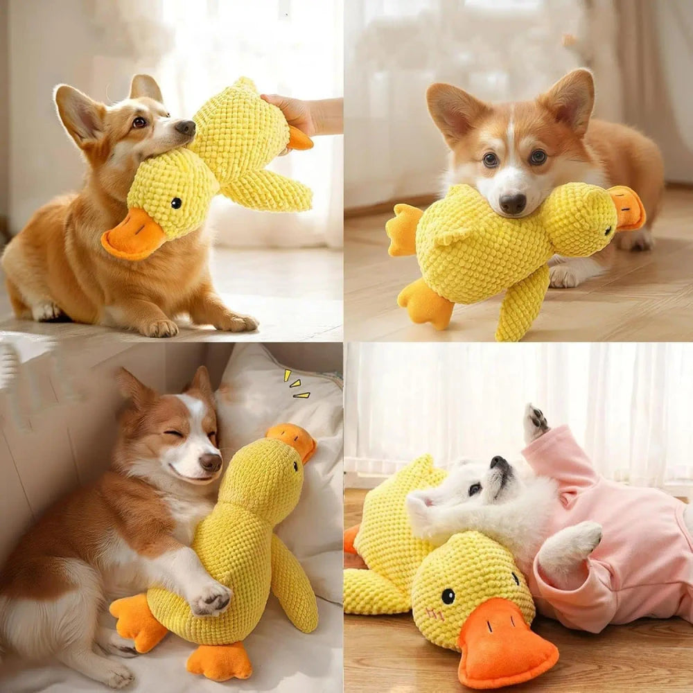 Quacking Plush Dog Toy