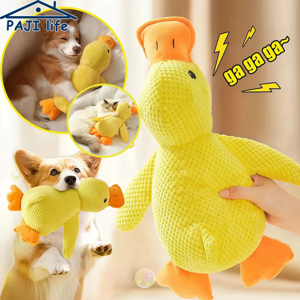 Quacking Plush Dog Toy