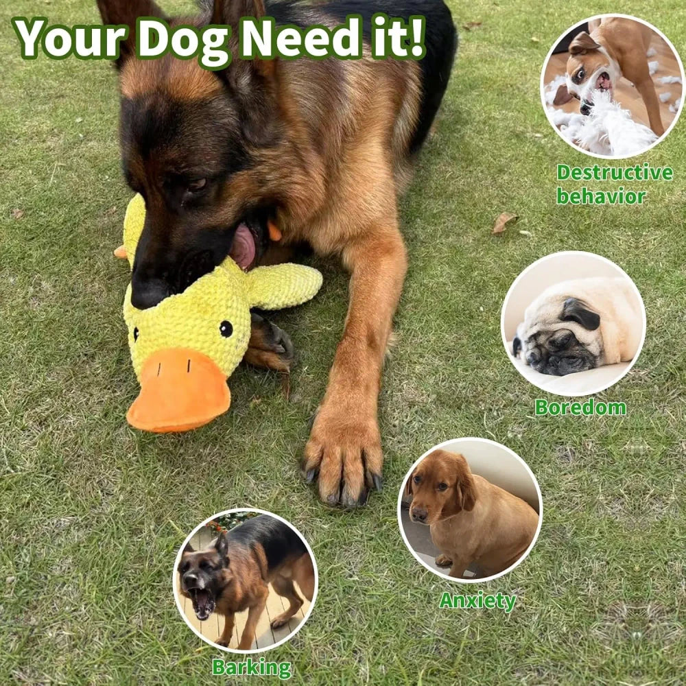 Quacking Plush Dog Toy